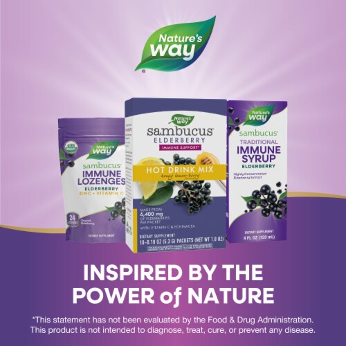 Nature's Way Sambucus Soothing Elderberry Hot Drink With Vitamin C And Echinacea Drink Mix Packets Perspective: bottom