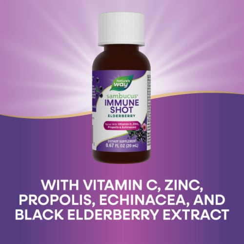Nature's Way Sambucus Standardized Elderberry Immune Syrup Perspective: bottom