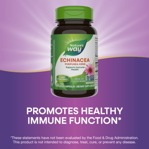 Nature's Way Echinacea Purpurea 400mg Capsules Perspective: bottom