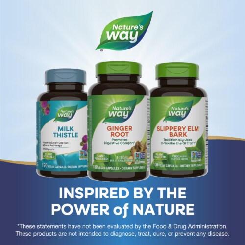 Nature's Way Ginger Root Promotes Digestive Comfort Capsules 1100 mg Per 2 Capsule Serving Perspective: bottom