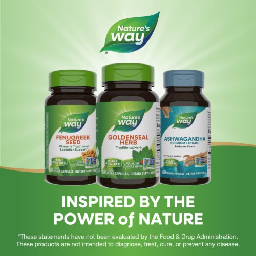 Nature's Way Goldenseal Traditional Herb Vegan Capsules 700 mg Per 2 Capsule Serving Perspective: bottom