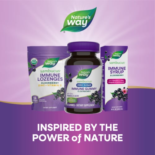Nature’s Way Sambucus Zero Sugar Immune Black Elderberry Extract Vitamin C D3 Zinc Gummies Perspective: bottom