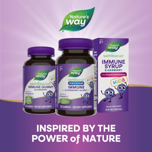 Nature’s Way Sambucus Kids Zero Sugar Immune Black Elderberry Extract Vitamin C Zinc Ages 2+ Gummies Perspective: bottom