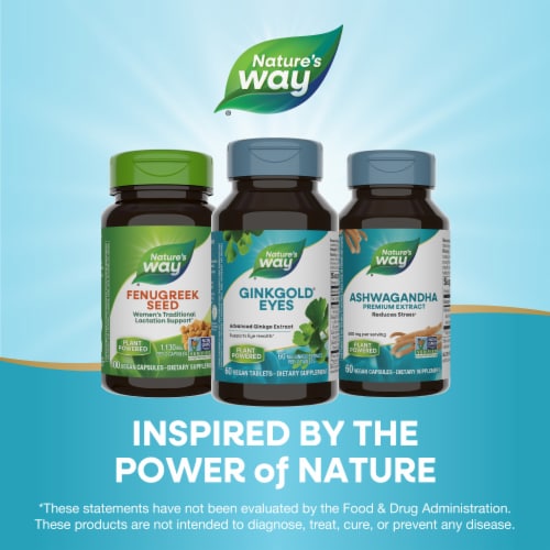 Nature's Way Ginkgold Eyes Gingko Biloba Tablets 60 mg Ginkgo Biloba Extract Per 2-Tablet Serving Perspective: bottom