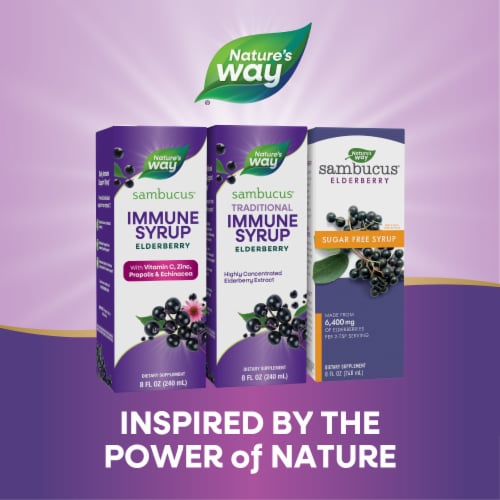 Nature’s Way Sambucus Traditional Immune Concentrated Black Elderberry Extract Berry Flavored Syrup Perspective: bottom