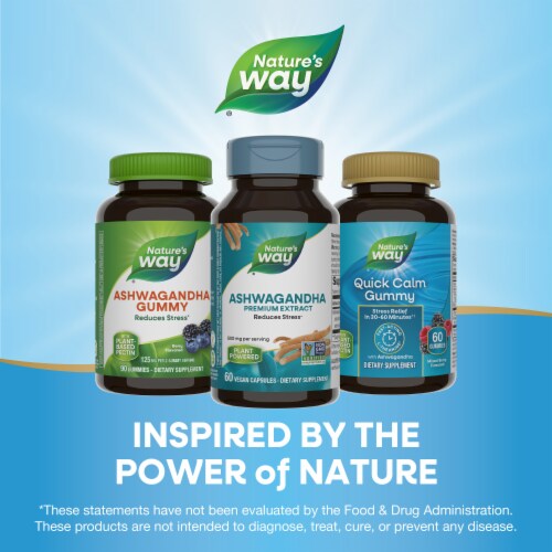 Nature's Way Ashwagandha Premium Extract Reduces Stress Vegan Capsules 500 mg Per Serving Perspective: bottom