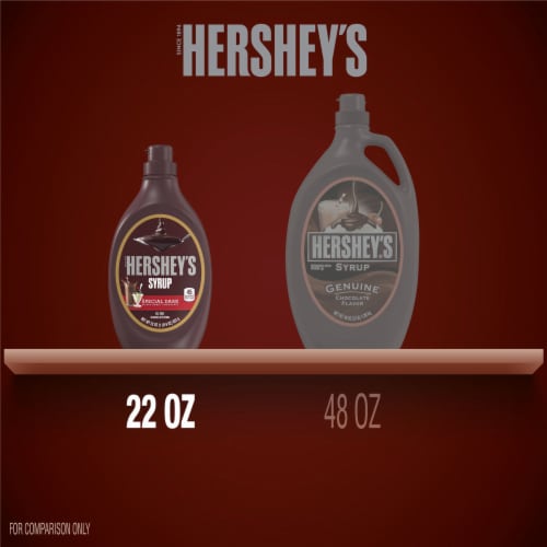 HERSHEY'S SPECIAL DARK Mildly Sweet Chocolate Syrup Bottle Perspective: bottom