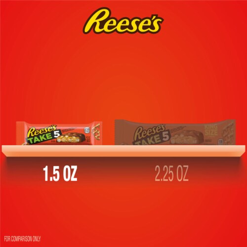 REESE'S TAKE 5 Pretzel Peanut and Chocolate Candy Bar Perspective: bottom