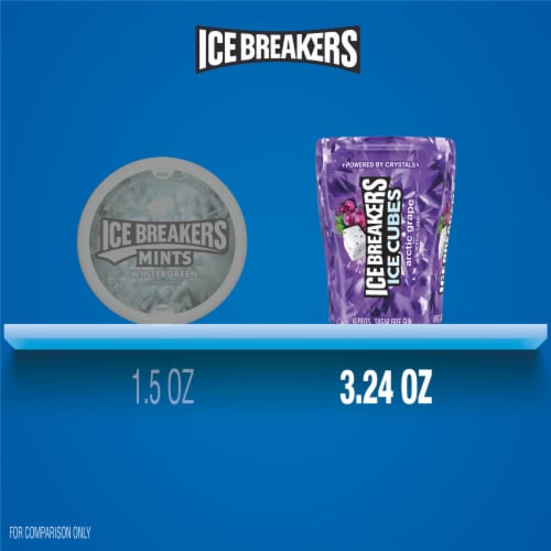 ICE BREAKERS ICE CUBES Arctic Grape Sugar Free Chewing Gum Bottle Perspective: bottom