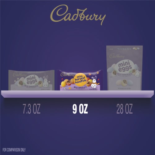 CADBURY Mini Harvest Handfuls Milk Chocolate Halloween Candy Bag Perspective: bottom