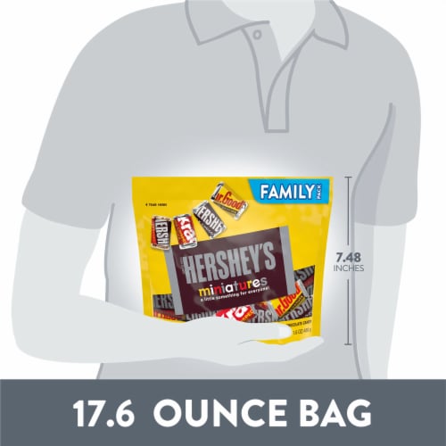 HERSHEY'S Miniatures Assorted Chocolate Candy Family Pack Perspective: bottom