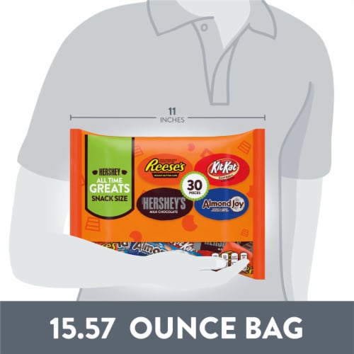 Hershey Assorted Chocolate Snack Size Candy Bag Perspective: bottom