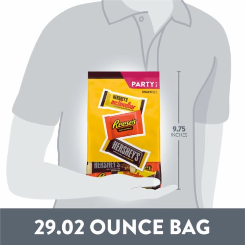 HERSHEY'S and REESE'S Assorted Chocolate Flavored Snack Size Candy Party Pack Perspective: bottom
