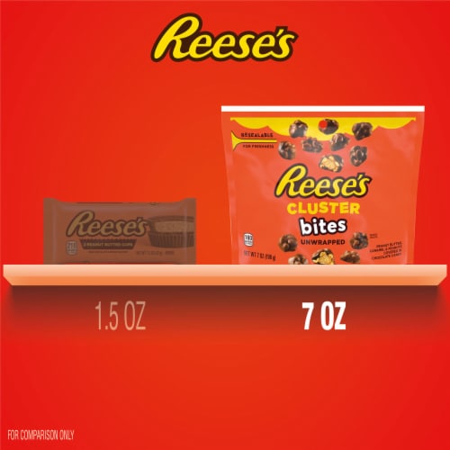 REESE'S CLUSTER BITES Peanut Butter Caramel and Peanuts Candy Bag Perspective: bottom