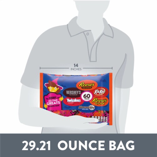Hershey Assorted Chocolate Peanut Butter Fruit Flavored Snack Size Candy Halloween Variety Bag Perspective: bottom