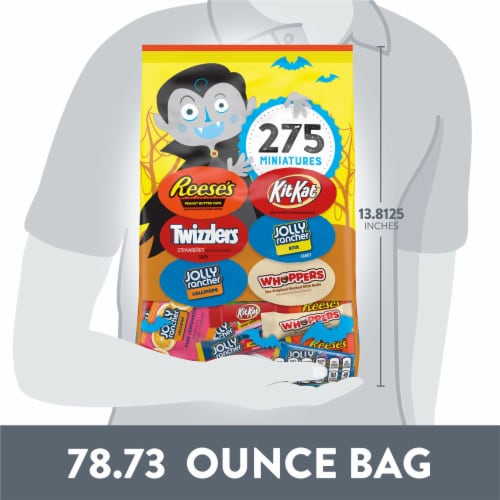 Hershey Miniatures Chocolate and Fruit Flavored Assortment Candy Halloween Bulk Variety Bag Perspective: bottom