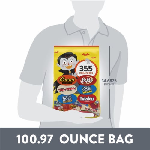 Hershey Miniatures Chocolate and Fruit Flavored Assortment Candy Halloween Bulk Variety Bag Perspective: bottom