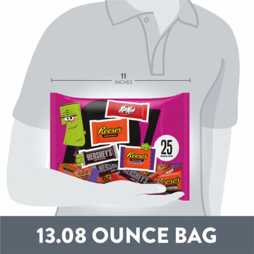 Hershey Milk Chocolate Assortment Snack Size Halloween Candy Variety Bag Perspective: bottom