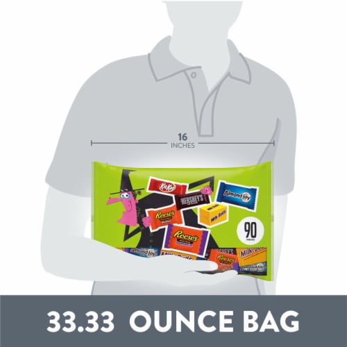 Hershey Assorted Chocolate Flavored Halloween Candy Variety Bag Perspective: bottom
