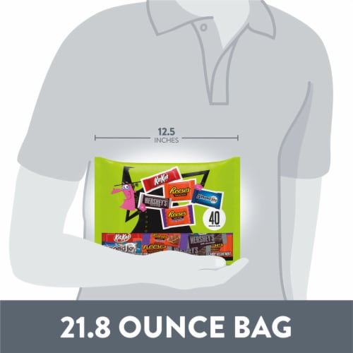 Hershey Assorted Chocolate Flavored Snack Size Halloween Candy Bag Perspective: bottom