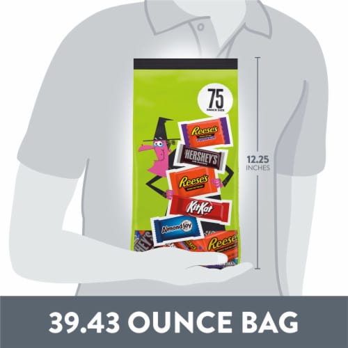 Hershey Assorted Flavored Snack Size Halloween Candy Bulk Bag Perspective: bottom