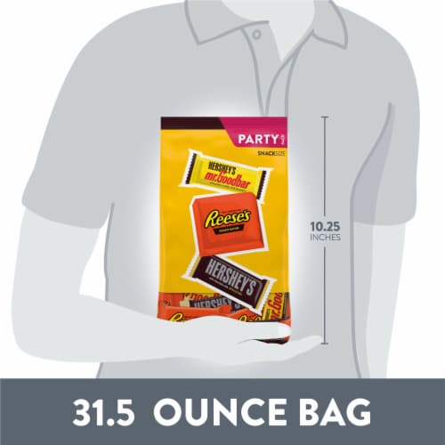 HERSHEY'S and REESE'S Assorted Chocolate Flavored Snack Size Halloween Candy Party Pack Perspective: bottom