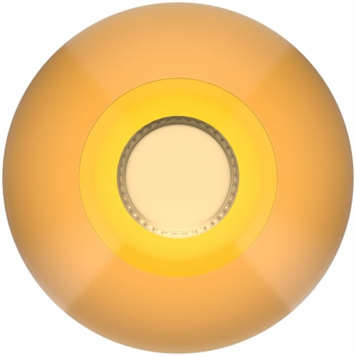 Miller Genuine Draft American Lager Beer Perspective: bottom