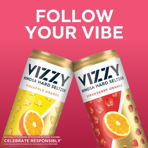 Home  Vizzy Hard Seltzer