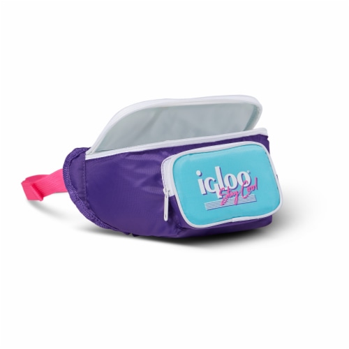 Igloo 20 Can Retro Backpack Soft Sided Cooler, Purple 