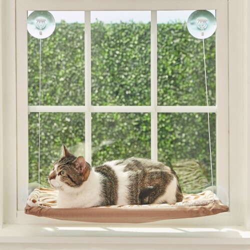Sunny seat window sales mounted cat bed
