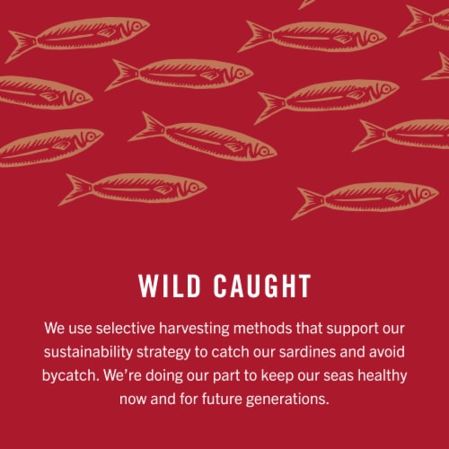 King Oscar Wild Caught Skinless & Boneless Sardines in Olive Oil Perspective: bottom