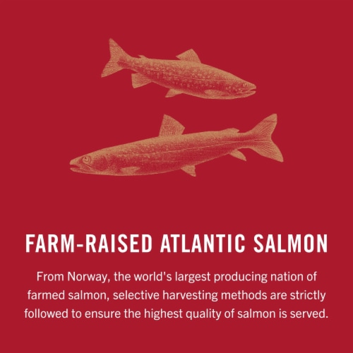 King Oscar Skinless & Boneless Premium Salmon in Olive Oil Perspective: bottom