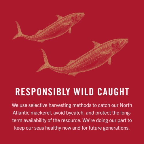 King Oscar Wild Caught Skinless & Boneless Mackerel in Olive Oil Perspective: bottom
