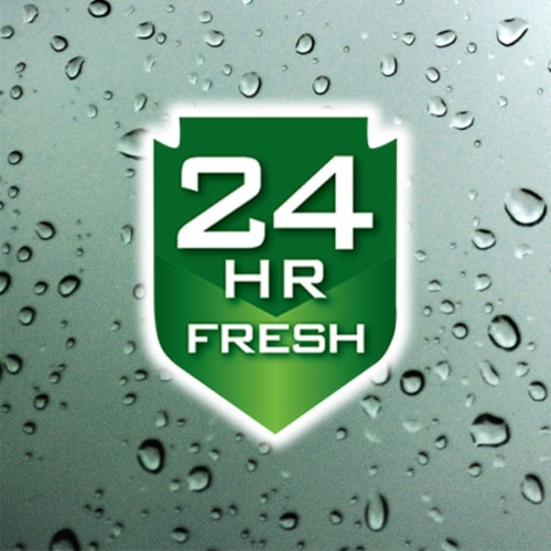 Irish Spring 24-Hour Fresh Original Body Wash Perspective: bottom