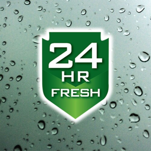 Irish Spring 24-Hour Fresh Original Body Wash Perspective: bottom