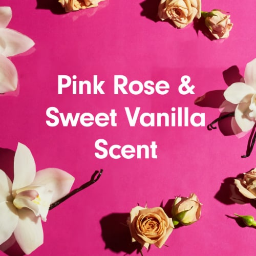 Softsoap Body Pink Rose & Sweet Vanilla Scent Exfoliating Body Wash Perspective: bottom