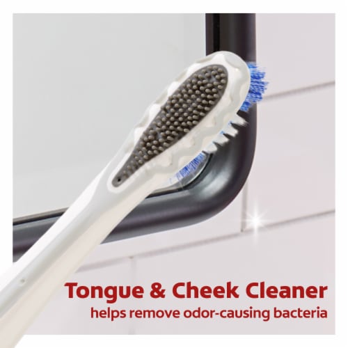 Colgate 360 Battery Powered Whitening Toothbrush in Soft Perspective: bottom