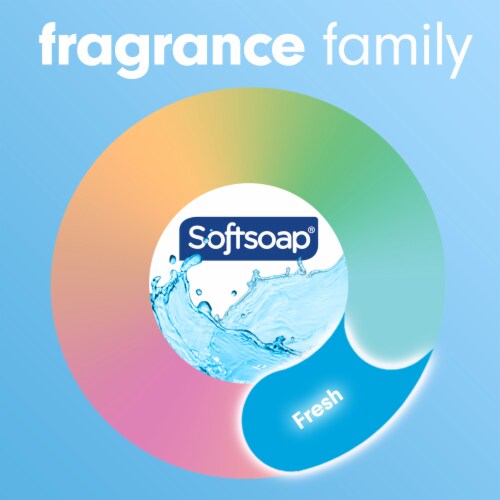 Softsoap Clean & Protect Antibacterial Liquid Hand Soap Cool Splash Hand Soap Perspective: bottom