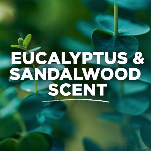 Tom's of Maine Complete Protection Aluminum-Free Natural Deodorant for Men Eucalyptus & Sandalwood Perspective: bottom