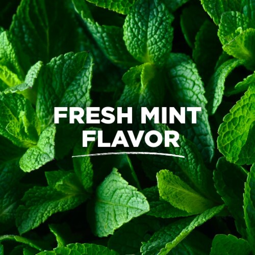 Tom's of Maine PureActiv Fresh + Bright Anticavity Toothpaste Fresh Mint Perspective: bottom