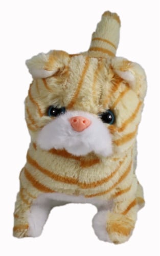 Casanova The Mechanical Kitten - Orange Striped Perspective: bottom