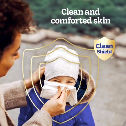 Kleenex Soothing Lotion with Coconut Oil Aloe & Vitamin E Facial Tissues Flat Box Perspective: bottom