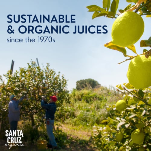Santa Cruz Organic Lime Juice Perspective: bottom