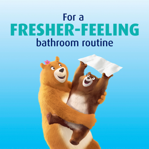 Charmin Freshmates Flushable Wipes Perspective: bottom
