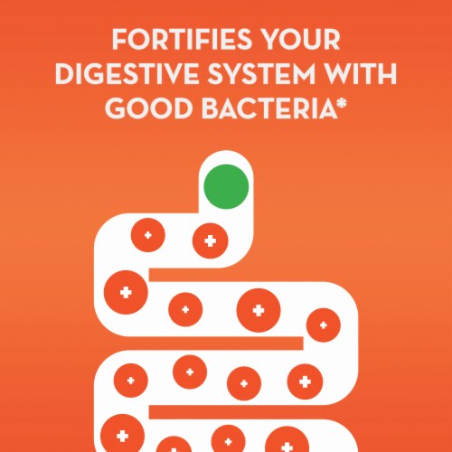 Align Gut Health & Immunity Support Probiotic Capsules Perspective: bottom