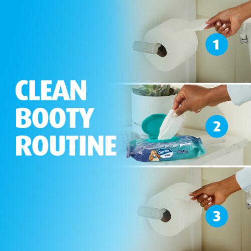 Charmin® Flushable Wipes Perspective: bottom