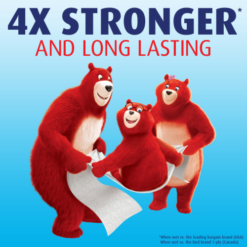 Charmin Ultra Strong Double Roll Bath Tissue Perspective: bottom
