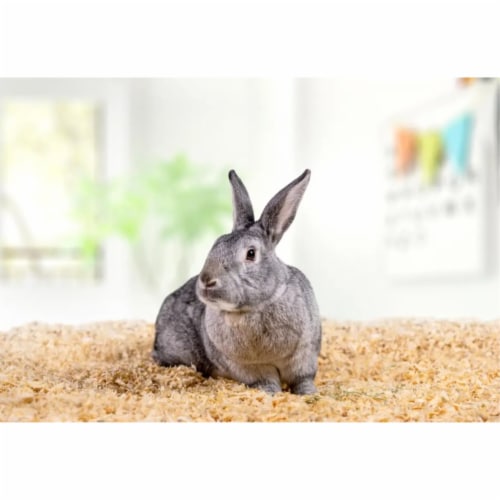 PetsPick Kiln Dried Soft Pine Bedding For Small Pets 24L 1 Mariano s
