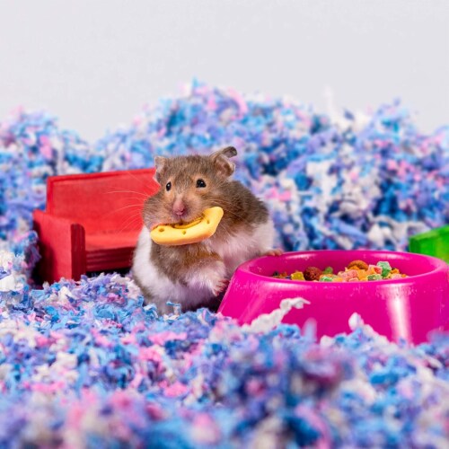 Soft food for hamsters hotsell