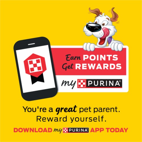 Purina Beggin' Strips Original Dog Treats with Bacon Flavor Perspective: bottom